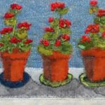 Geraniums with checked curtains